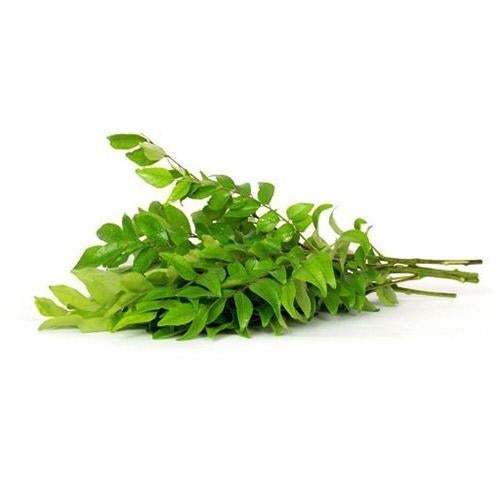 Curry Leaves (1 Box) (20 Bunches) Wholesale Distributor