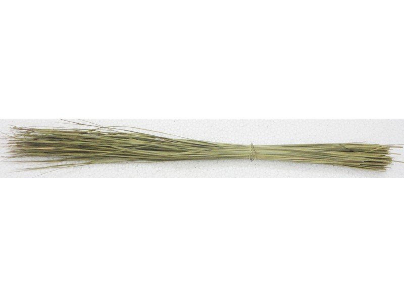 Dharbai Grass - 1 Punch (20 Pcs Approx) Wholesale Supplier