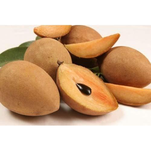 Sapota (Chikoo) Aprox 4 Kg Wholesale Seller
