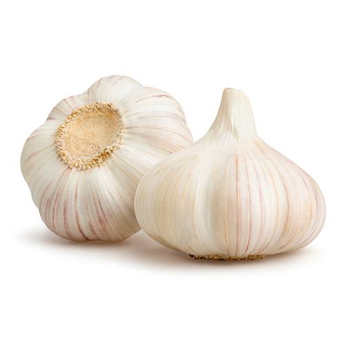 Garlic - Loose (1 Box) Wholesale Supplier and Distributor