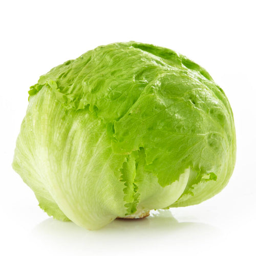 Ice Berg (Lettuce) (1 Box) Wholesale Seller