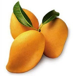 Kesar Mangoes Box 1.3Kg Box (Approx 6 Pcs) Wholesale Seller
