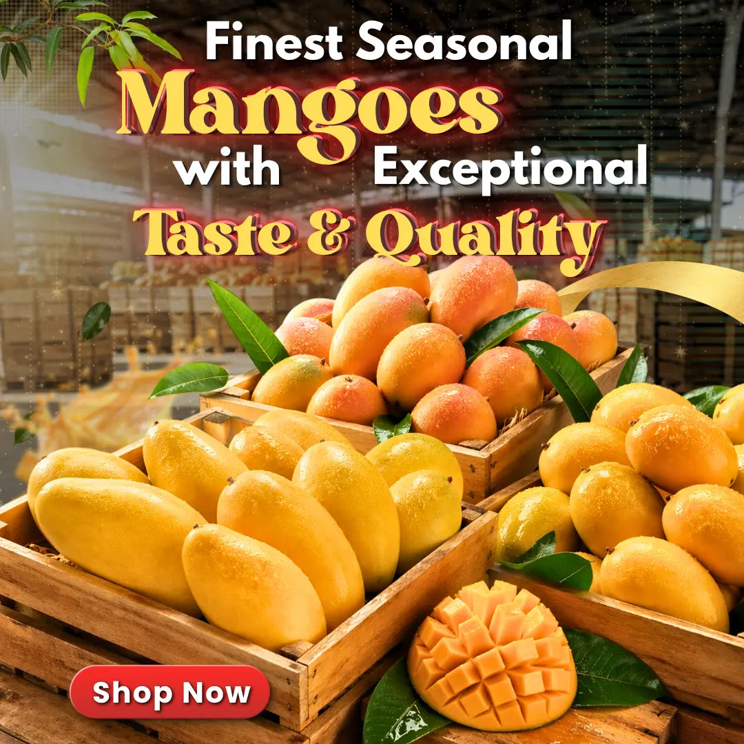 Buy Fresh Indian Mangoes Wholesale Supplier in UK