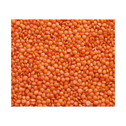 Natures Masoor Dal 500G Wholesale Distributor
