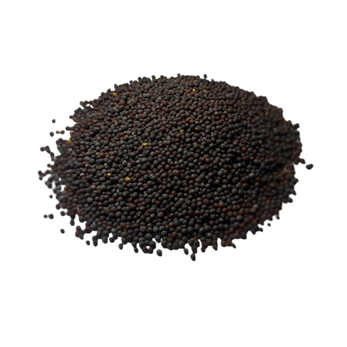 Natures Mustard Seeds (Black) 100G Wholesale Seller and Distributor