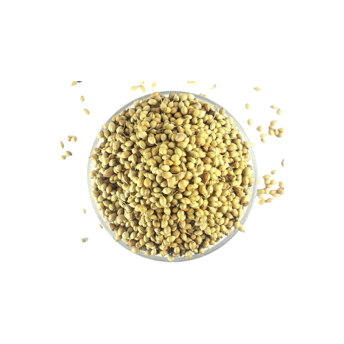Natures Coriander Seeds 100G Wholesale Seller
