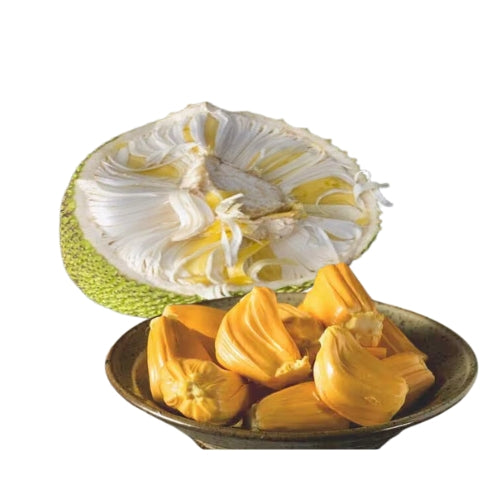 Fresh Green Jack Fruit(Polos) Wholesale Seller