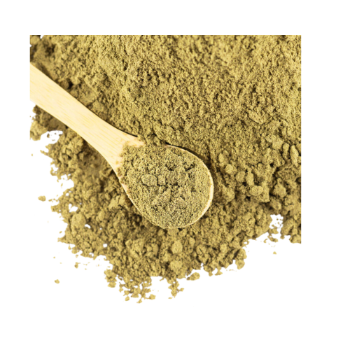 Natures Fennel Powder 100G Wholesale Seller