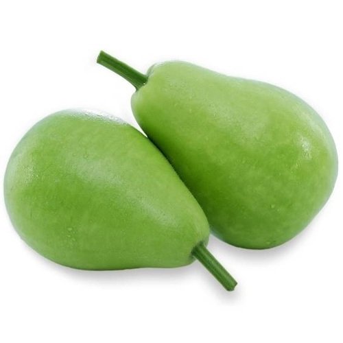 Bottle Gourd - Round (Sorraikai-Round Dhudhi) (1 Box) Wholesale Seller