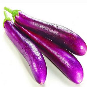 Long Aubergine (Srilankan Kathirikkai) (1 Box) (5Kg) Wholesale Seller