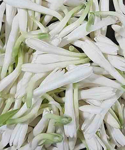 Sampangi Flower 100G Wholesale Supplier and Distributor