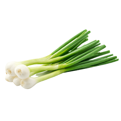 Spring Onion (1 Box) Wholesale Supplier and Distributor