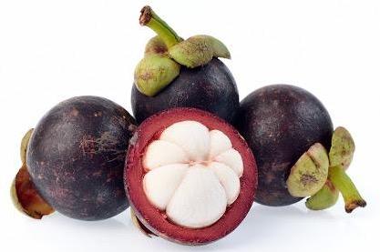 Mangosteen Fruit 250G Wholesale Dealer and Distributor