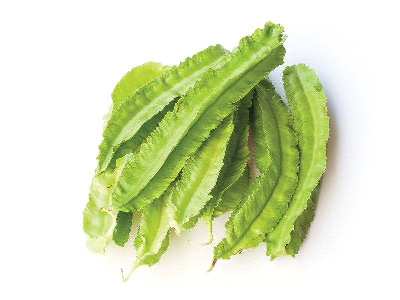 Winged Beans Wholesale Dealer and Distributor